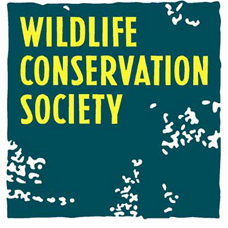 Logo for the Wildlife Conservation Society which DR. Halabi supports